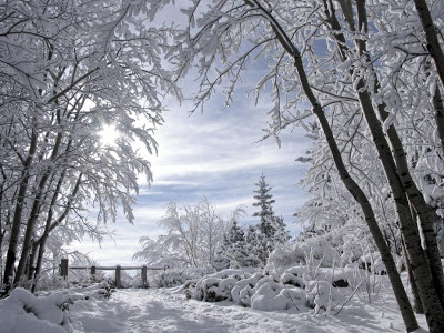 winter_magic3 - eh